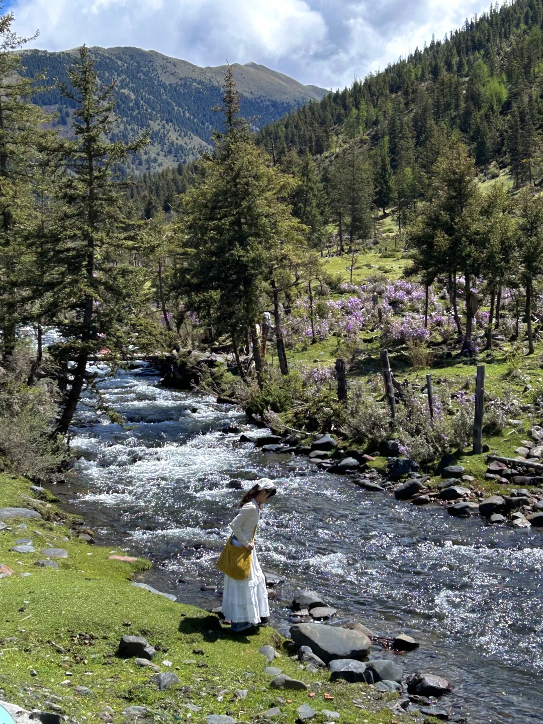 夏天的川西永远不缺生命力…