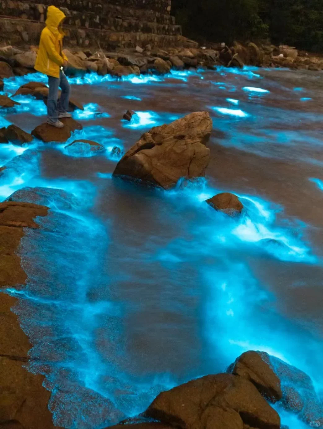 福建平潭首场蓝眼泪💧2025追泪最全攻略！