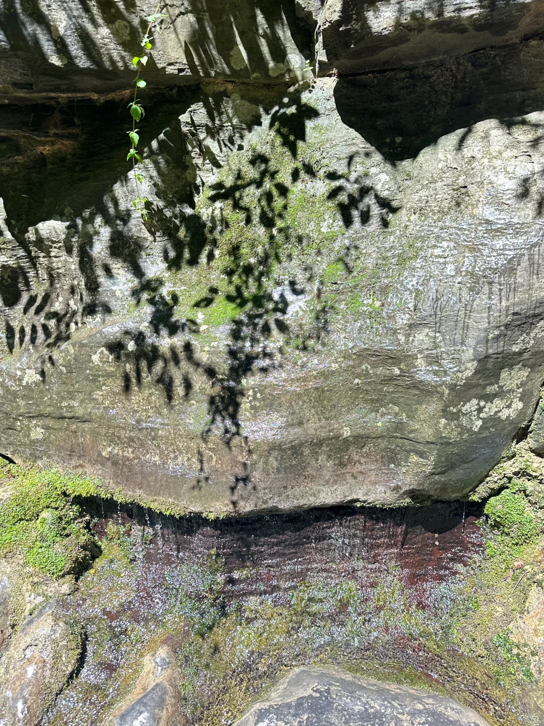 八泉峡很好下次不来了（内有惊喜省钱💰玩法）