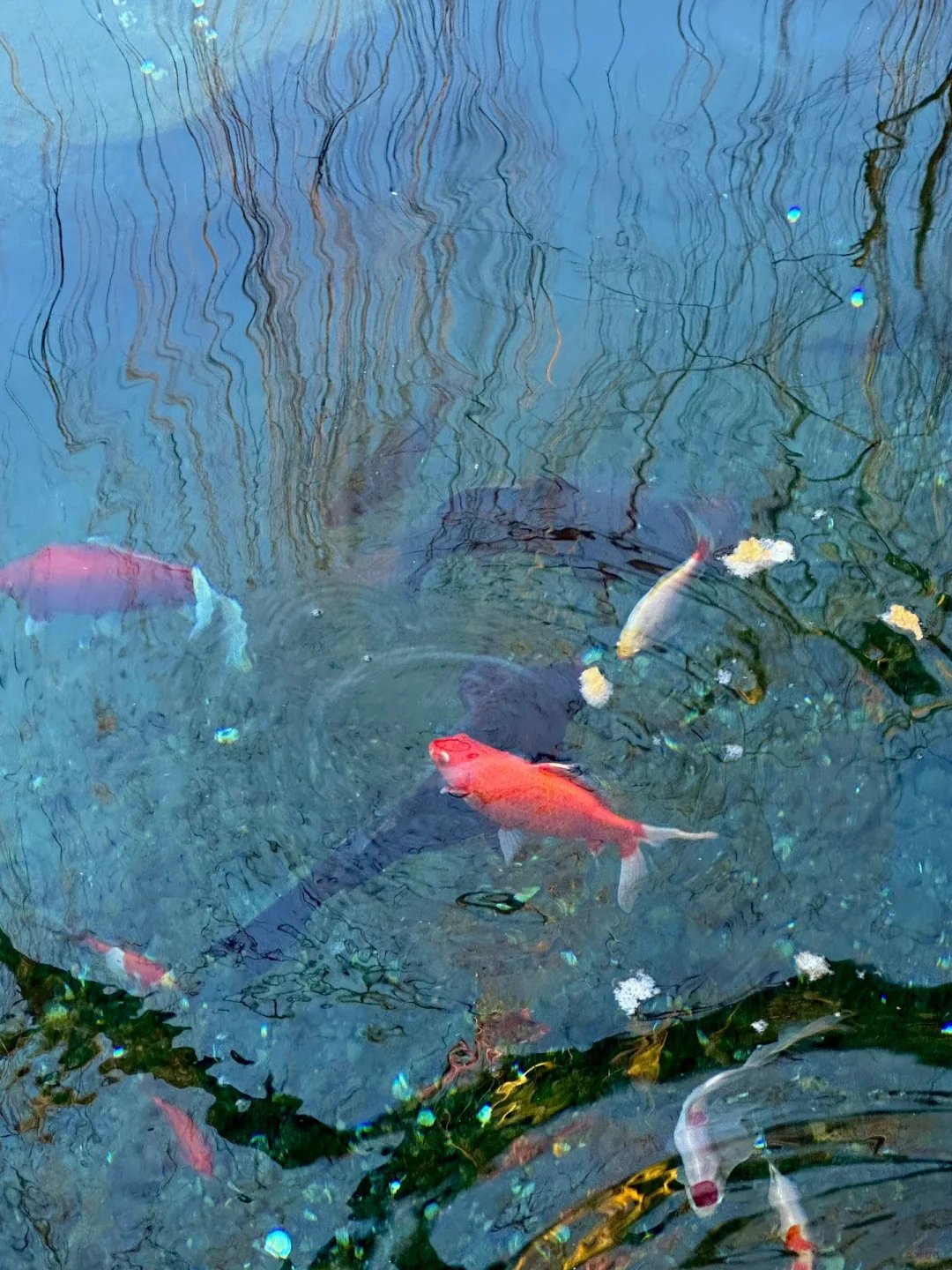 济南➕泰山周末两天一夜攻略🌟
