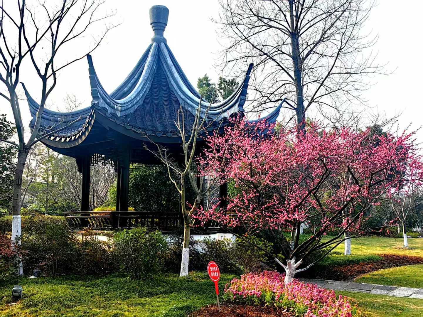 ⛳️To JiaXing 喜欢风在我的耳边～