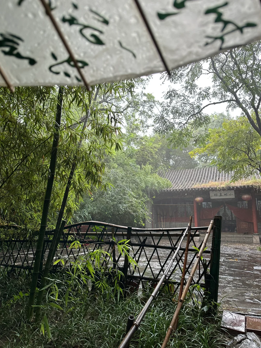 安阳｜洹园 听雨 赏景