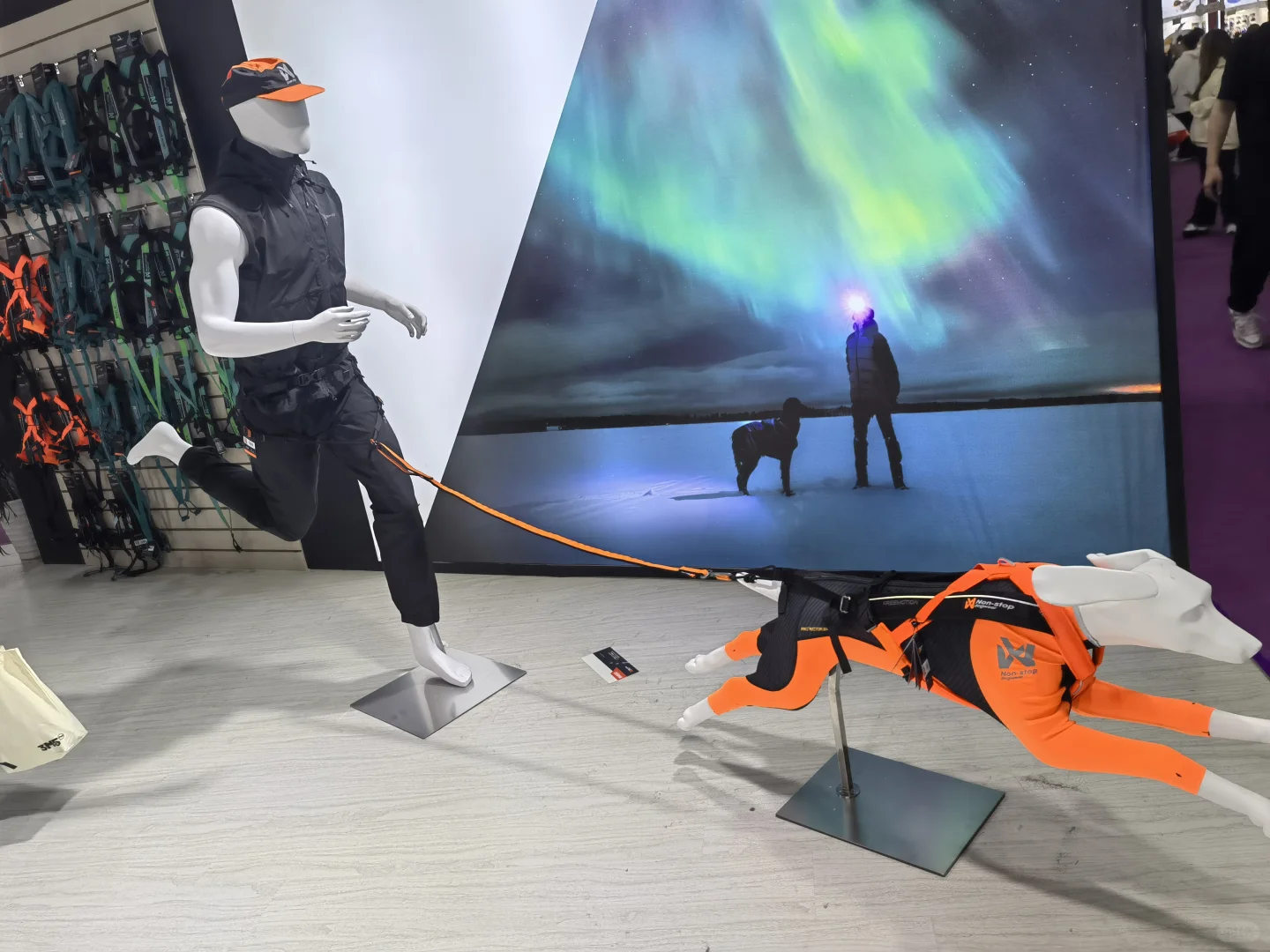 逛宠物展了,说点自己的感受