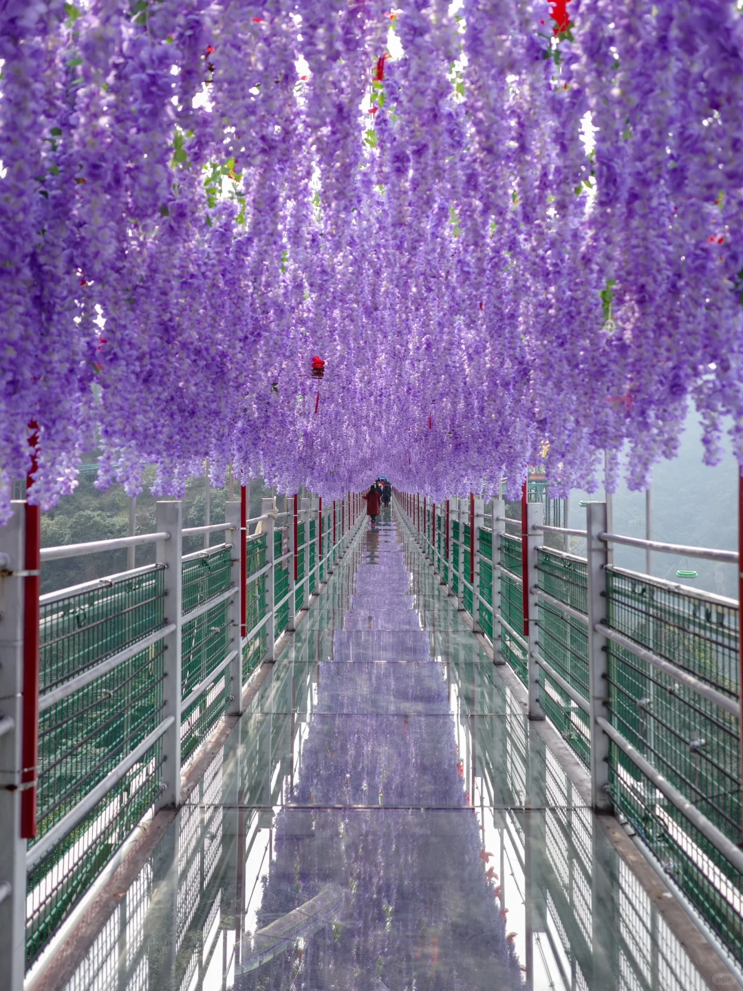 南京出发🚄1h！！！绝美小众秘境🌳