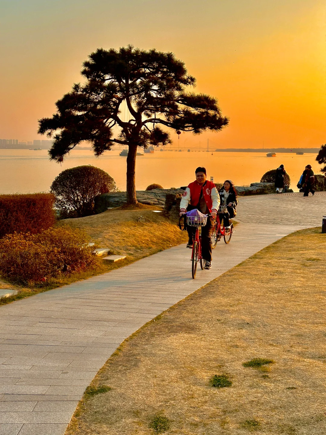 不是济州岛！在南京！……好chill🌊