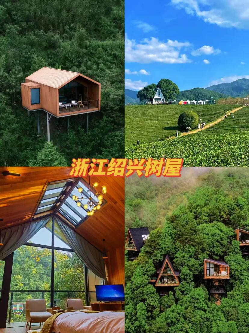 6座宝藏城市，超适合带老人去‼️