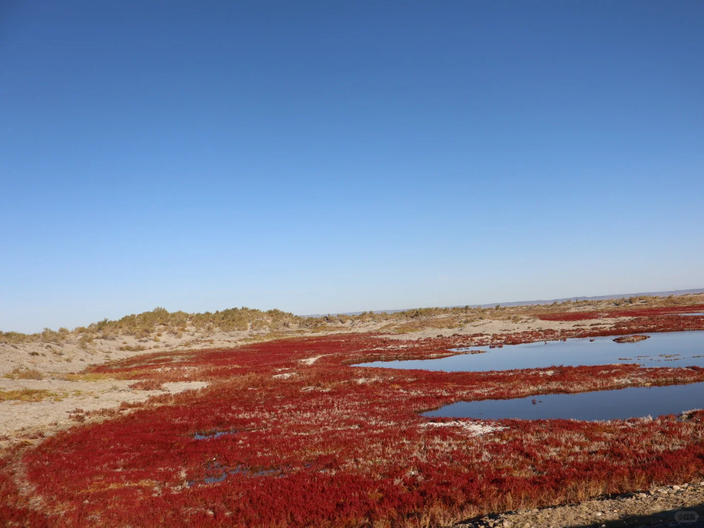 成都出发，寻各地旅游搭子❗❗