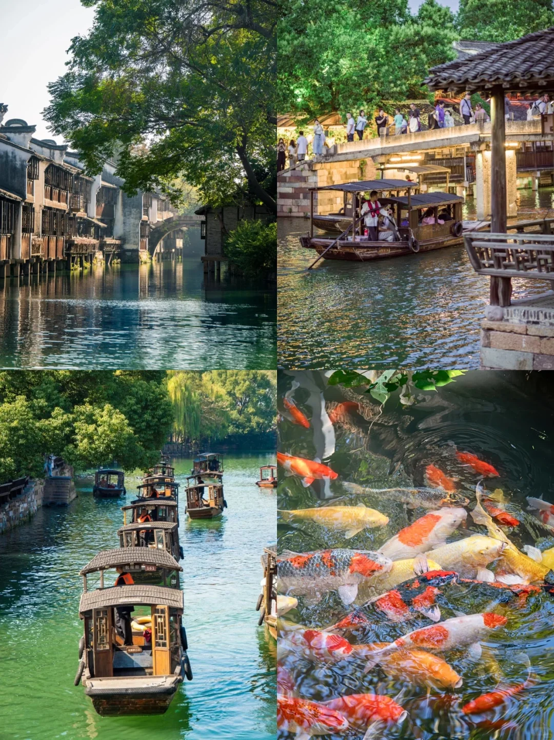 人生建议：3-5月一定要去一次乌镇‼️