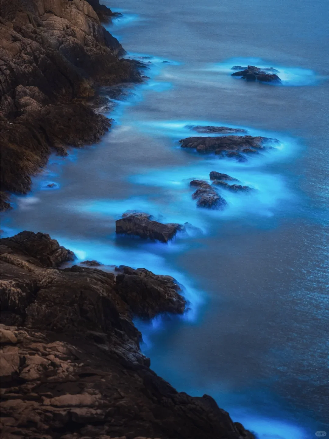 福建平潭首场蓝眼泪💧2025追泪最全攻略！