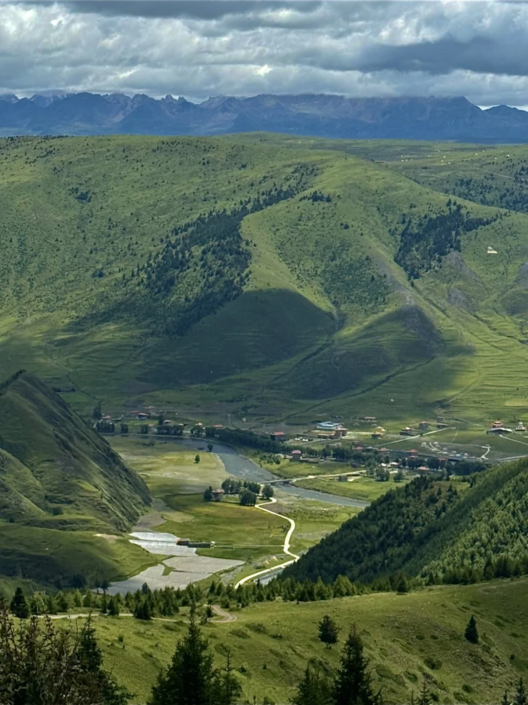 夏天的川西永远不缺生命力…