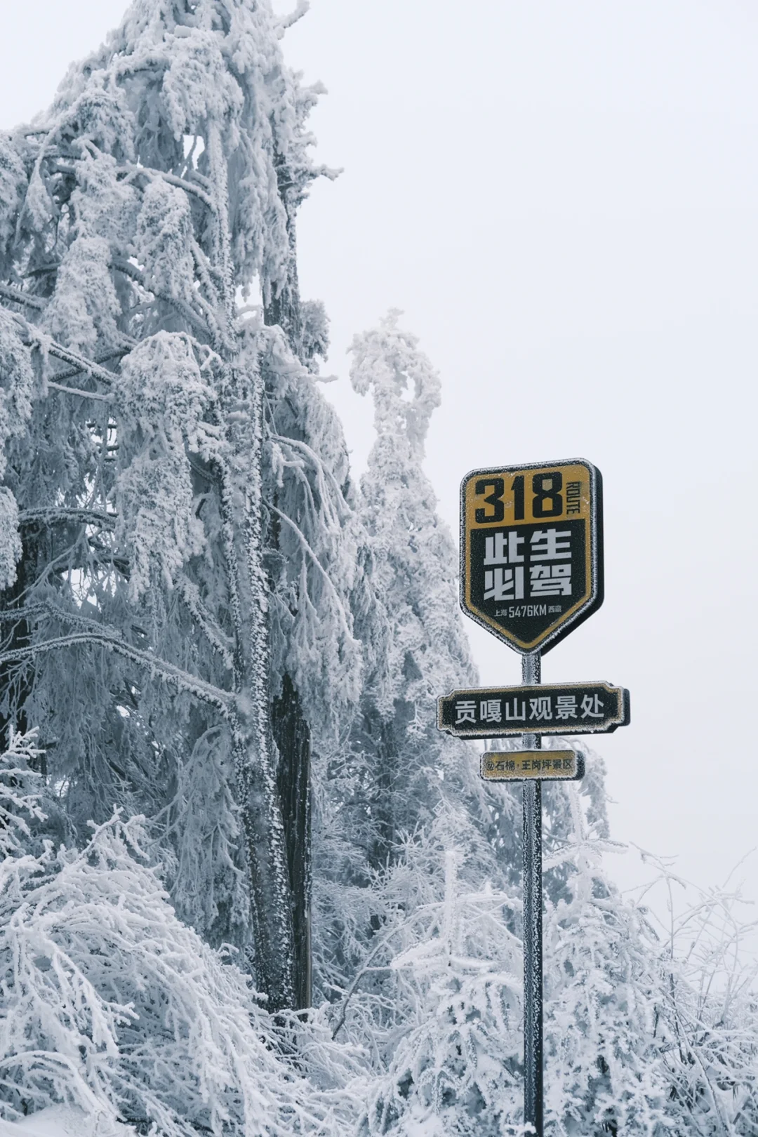 在王岗坪 遇见积雪雾凇～❄️