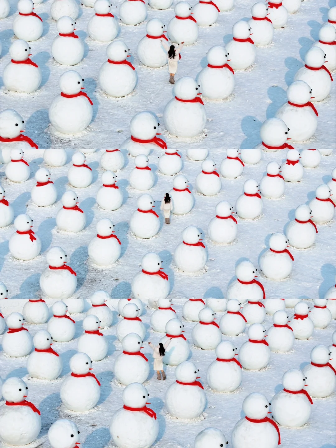 为了这15张照片，✈️飞了趟长白山，值么？