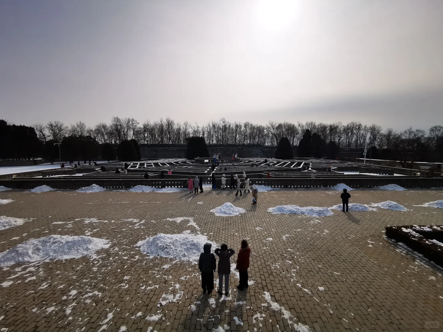 过年之老龙头观海