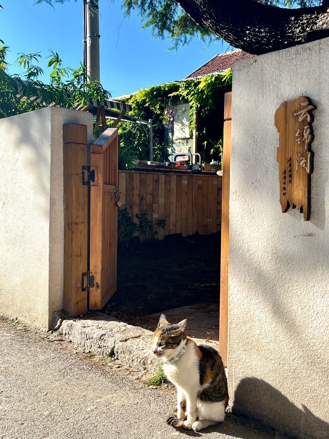 📍淄博｜特种兵淄博一日游攻略