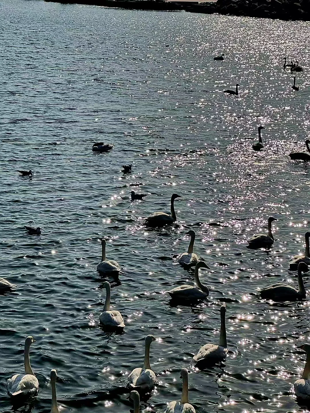 听劝，威海会惩罚每一个不做攻略的人❗