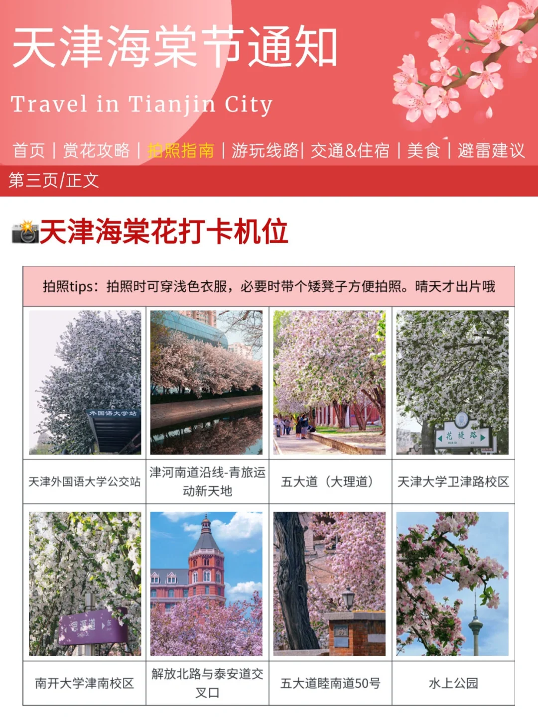 写给3-4月来天津的姐妹👫附超全赏花攻略