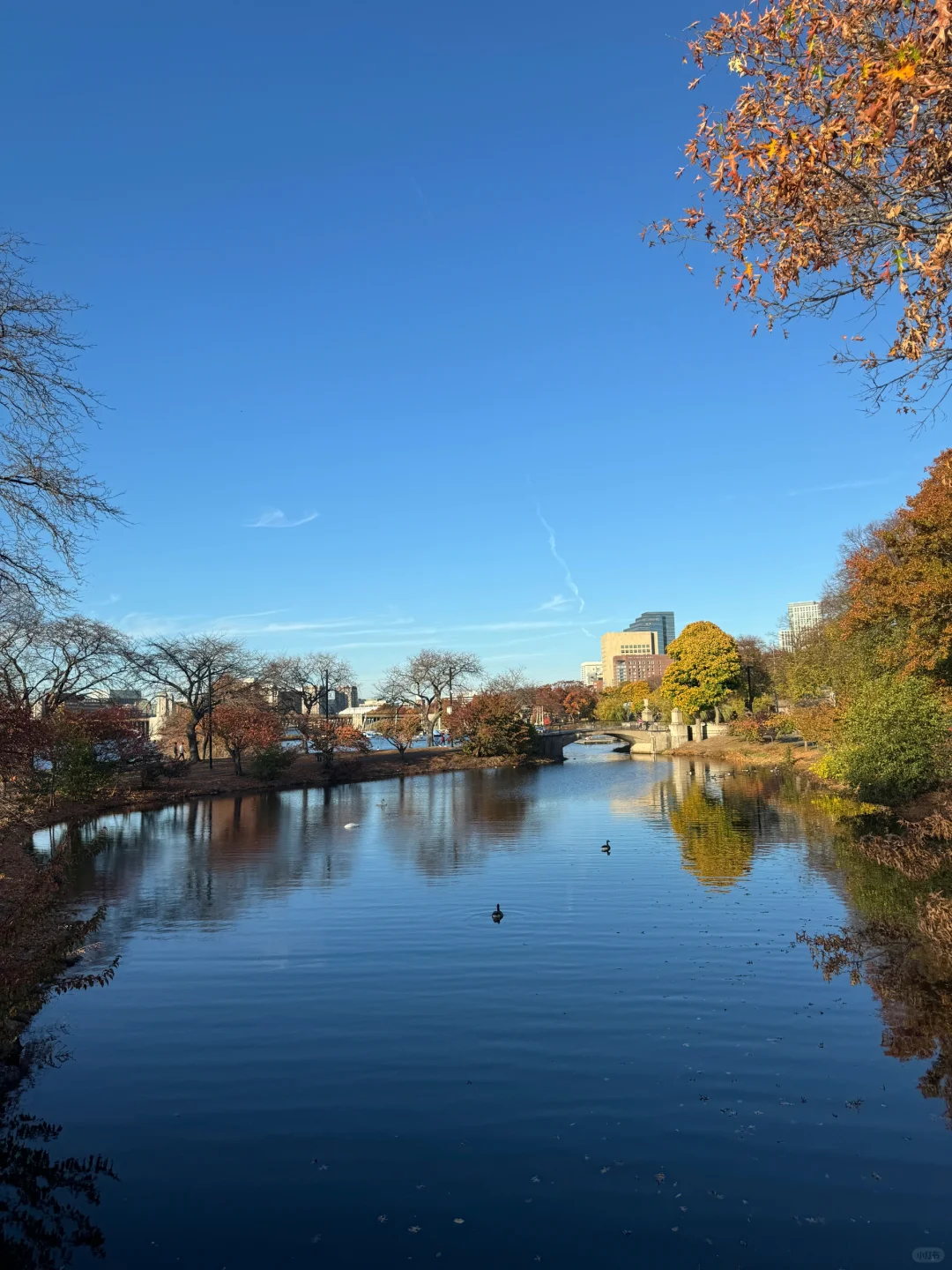 波士顿旅游攻略 | 必打卡景点+美食