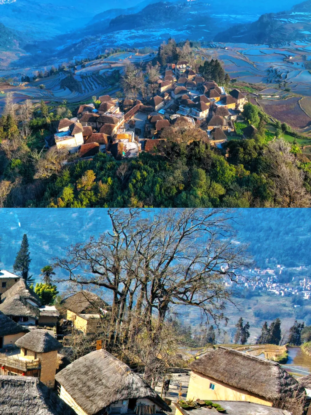 元阳梯田旅游攻略｜一年只美3个月✨