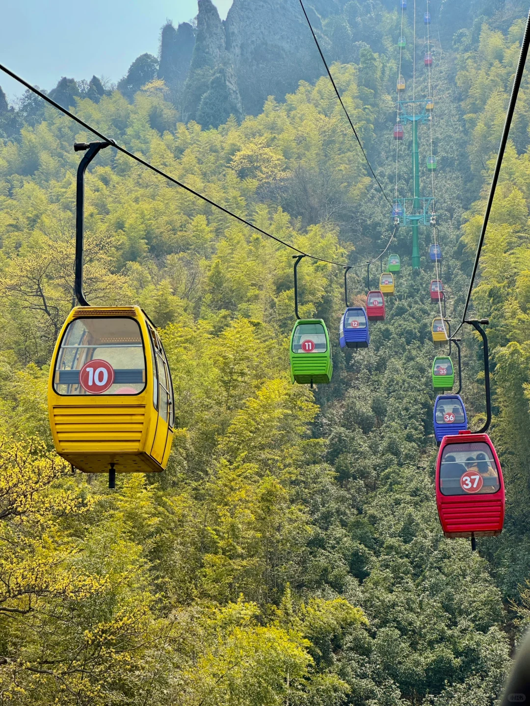 南京出发🚄1h！！！绝美小众秘境🌳