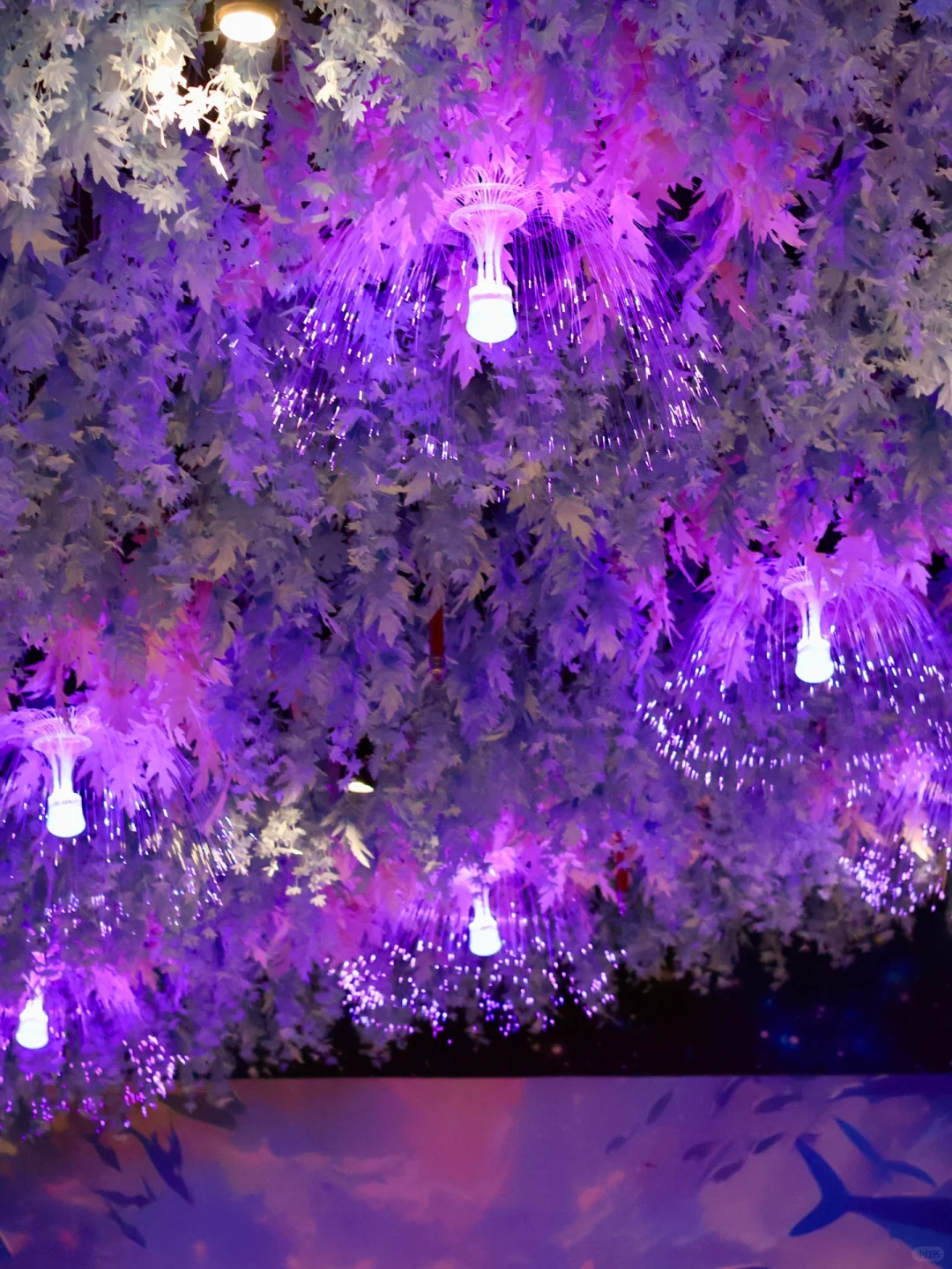 来周庄一定要来的店