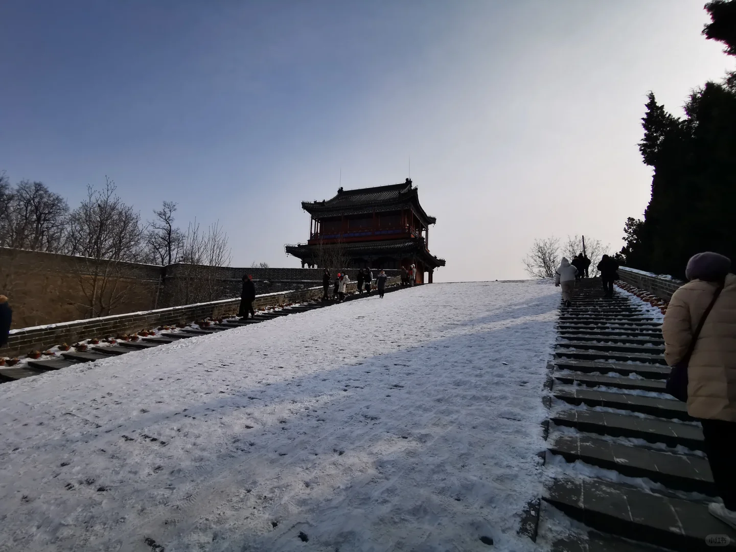 过年之老龙头观海