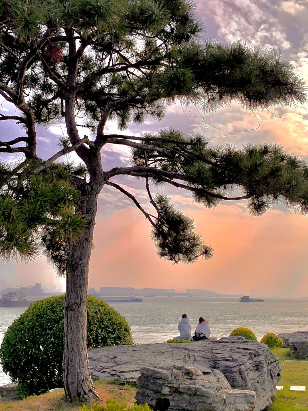 不是济州岛！在南京！……好chill🌊