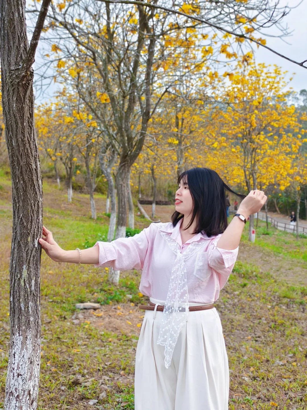 廉江|田园塞黄风铃|