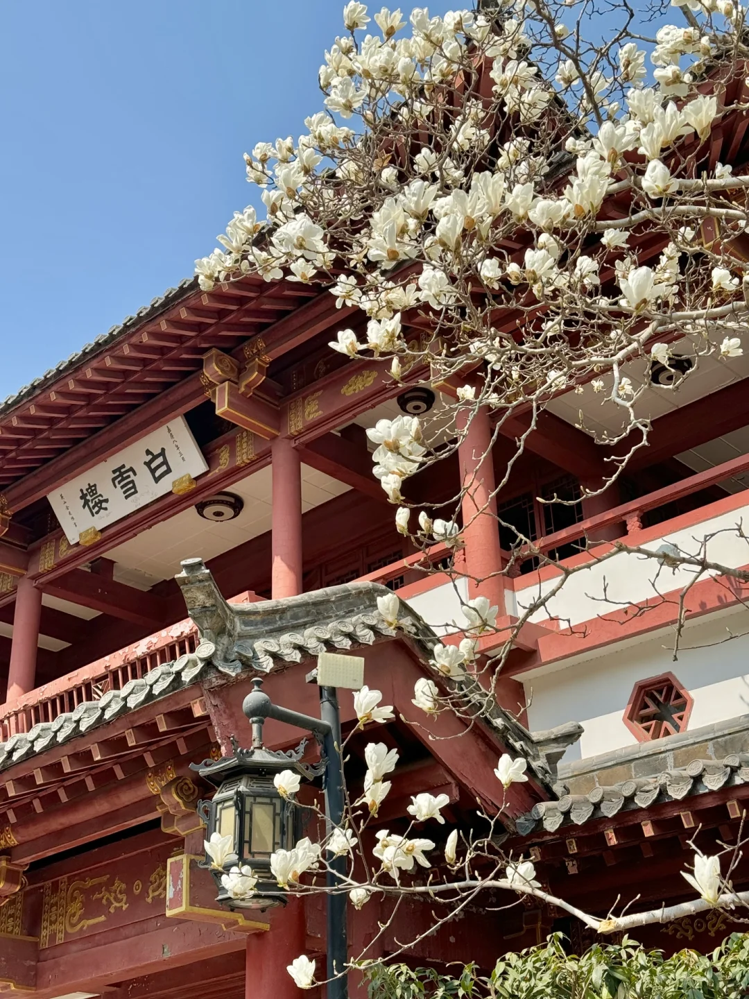 济南➕泰山周末两天一夜攻略🌟