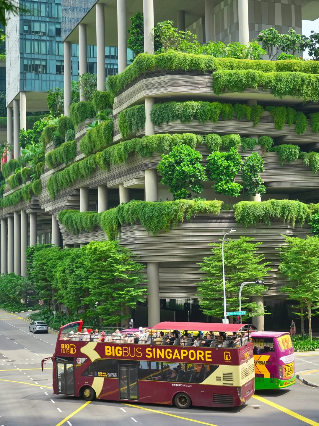 新加坡旅游刚回来，震撼到缓不过来😭‼️