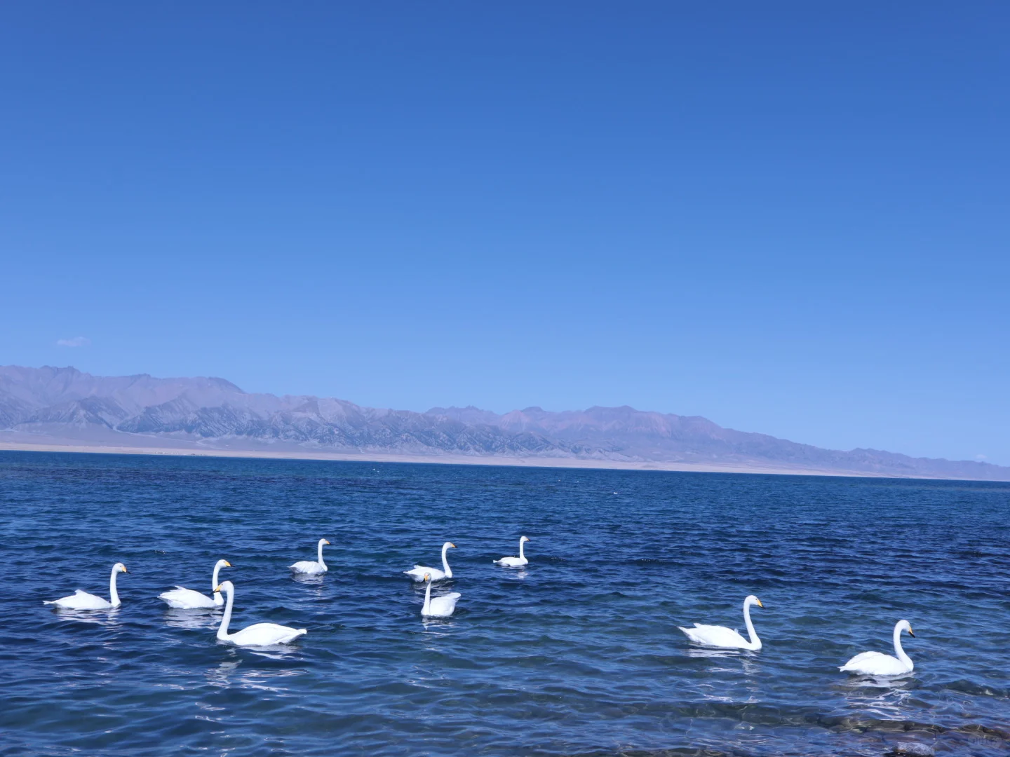 成都出发，寻各地旅游搭子❗❗