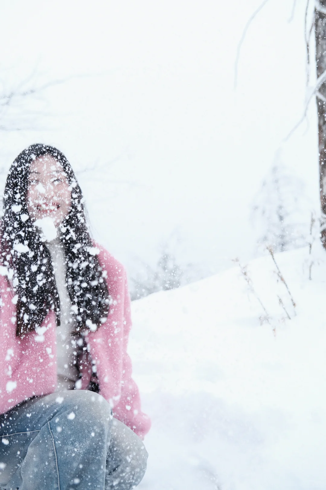 在王岗坪 遇见积雪雾凇～❄️