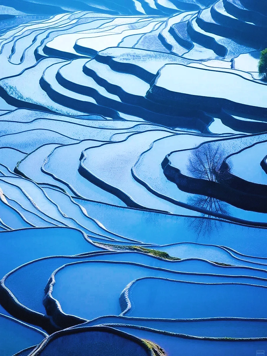 元阳梯田旅游攻略｜一年只美3个月✨