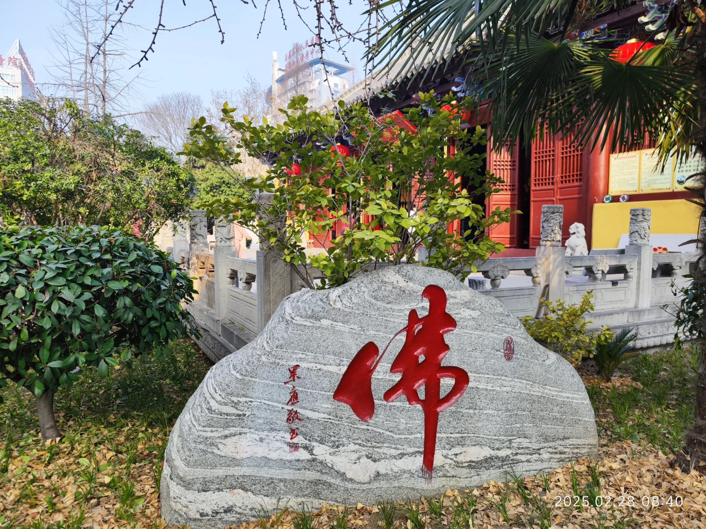 小城阜阳的一些细节—文峰公园，资福禅寺等