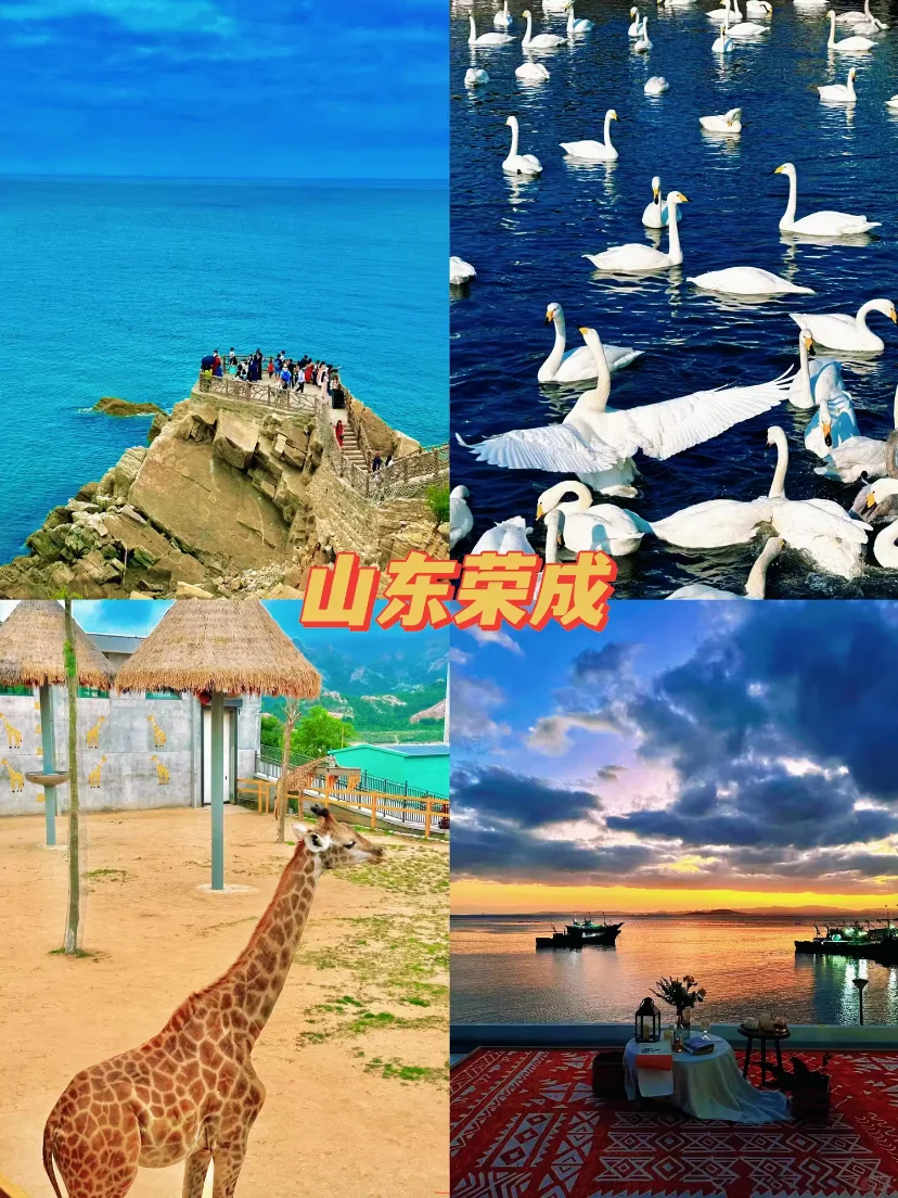 6座宝藏城市，超适合带老人去‼️