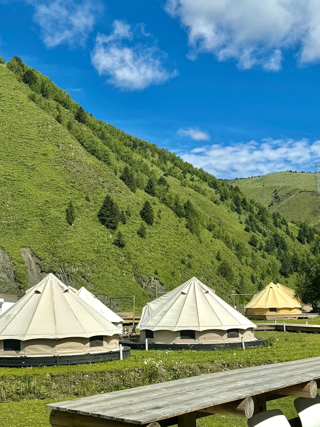 夏天的川西永远不缺生命力…