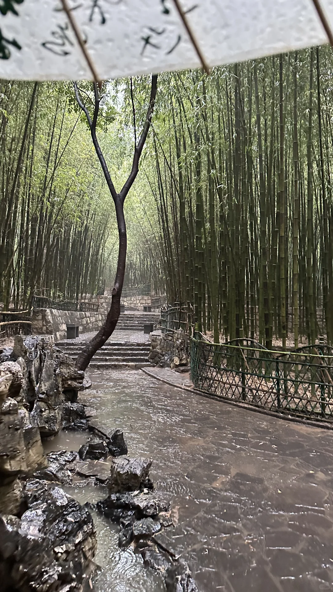 安阳｜洹园 听雨 赏景