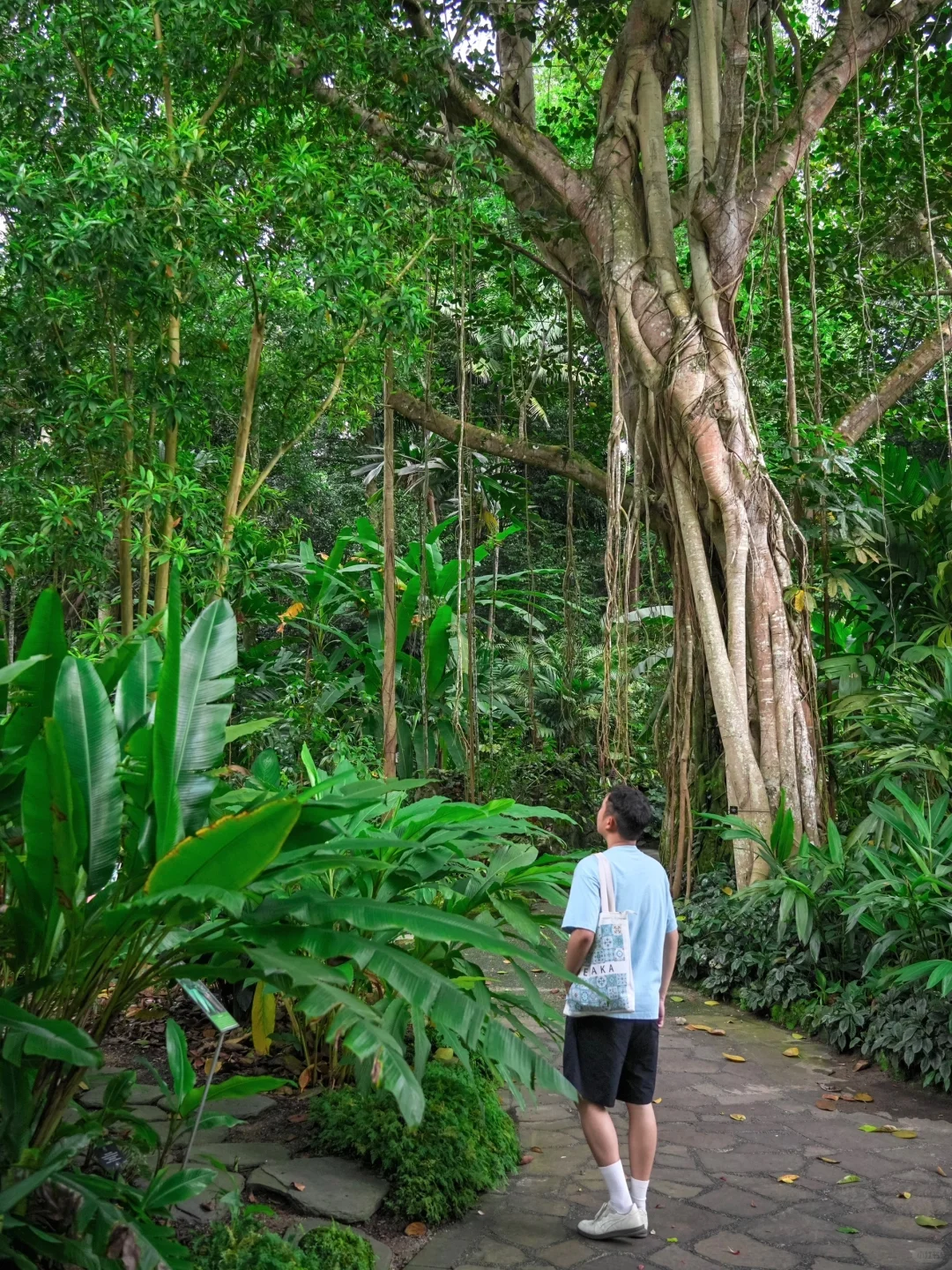 新加坡旅游刚回来，震撼到缓不过来😭‼️
