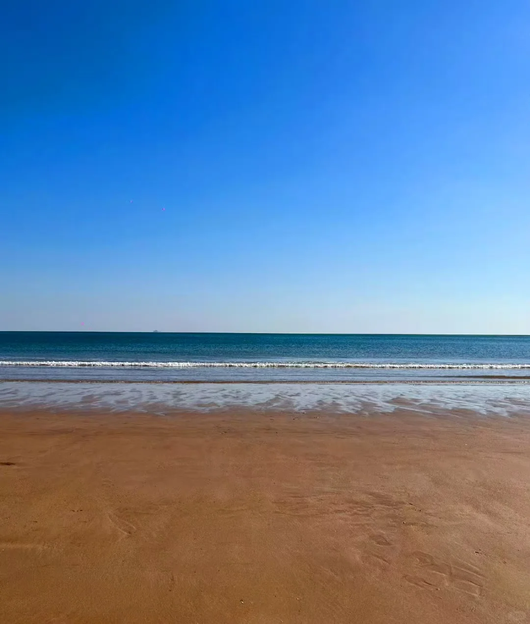 听劝，威海会惩罚每一个不做攻略的人❗