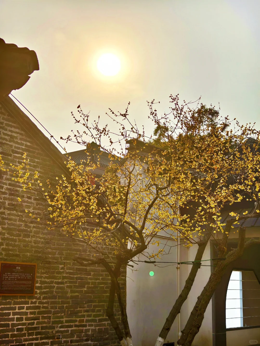 淮安旅行必看❗️周恩来故居纪念馆超全攻略