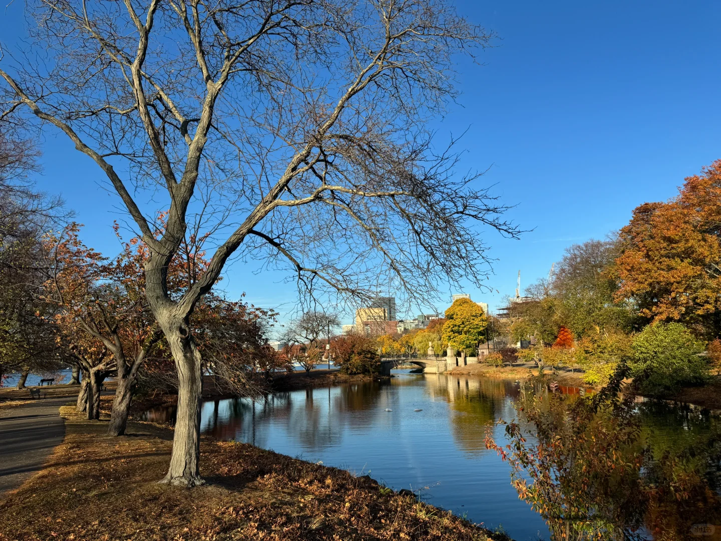 波士顿旅游攻略 | 必打卡景点+美食