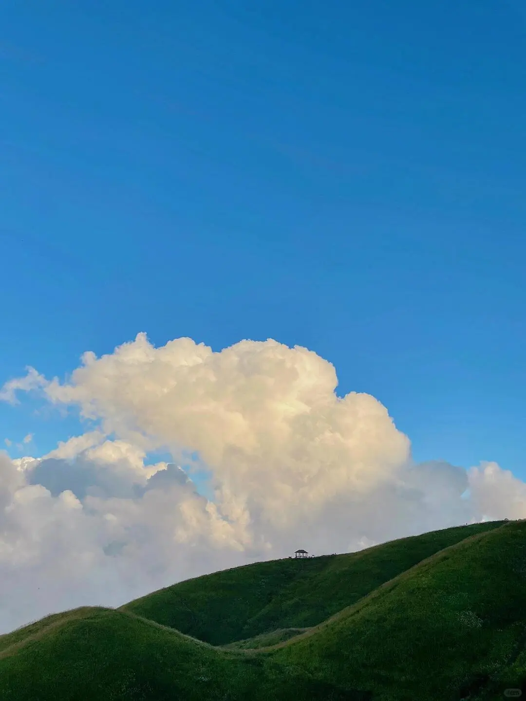 武功山预计下个月封神，本地人3-4月超全攻略