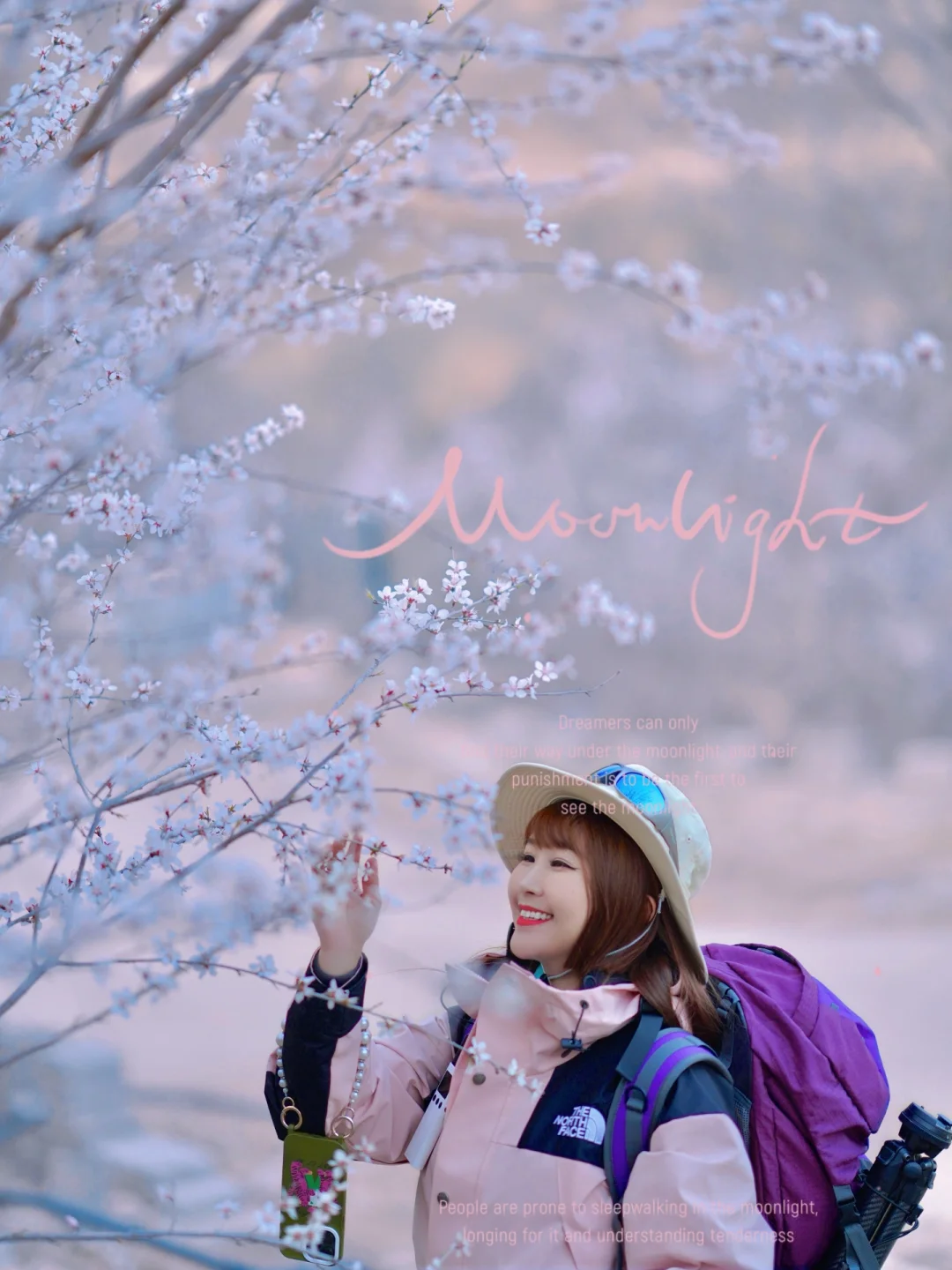 北京踏春🌸11个老幼赏花登山步道🍃不费腿