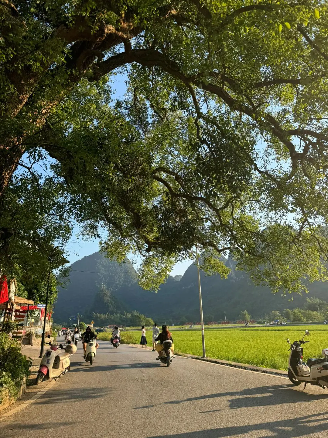 🌿 桂林阳朔4天3晚｜人均1k+ 纯玩攻略