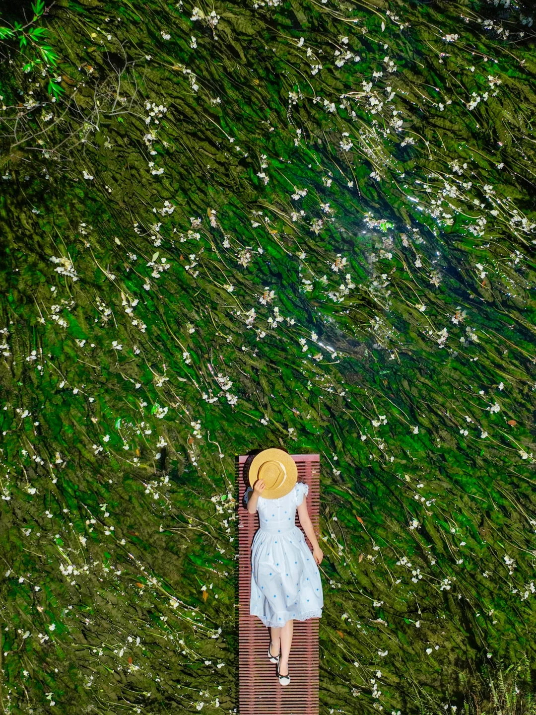 人生建议：春天一定要去趟昆明！附赏花攻略💐