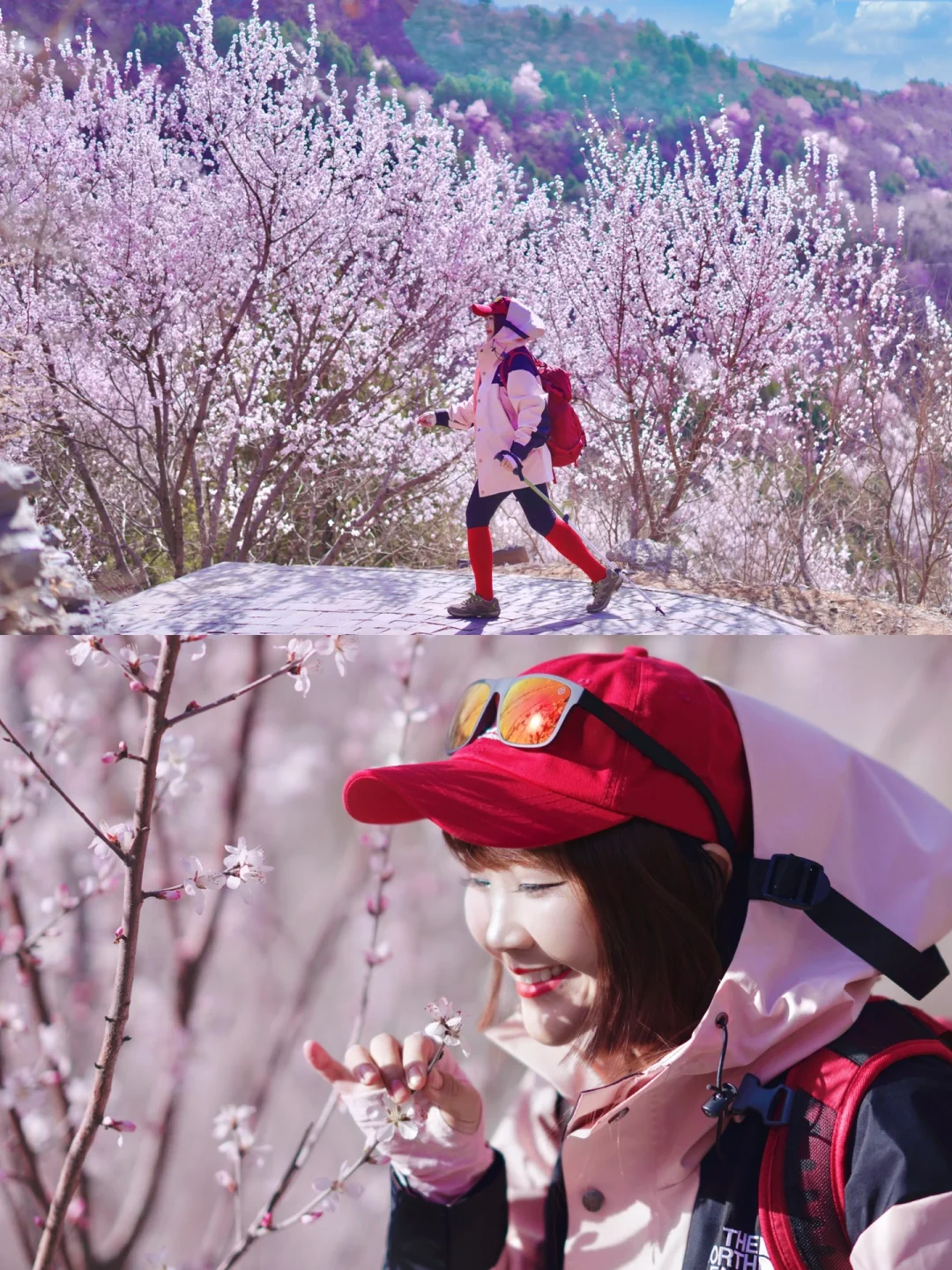 北京踏春🌸11个老幼赏花登山步道🍃不费腿