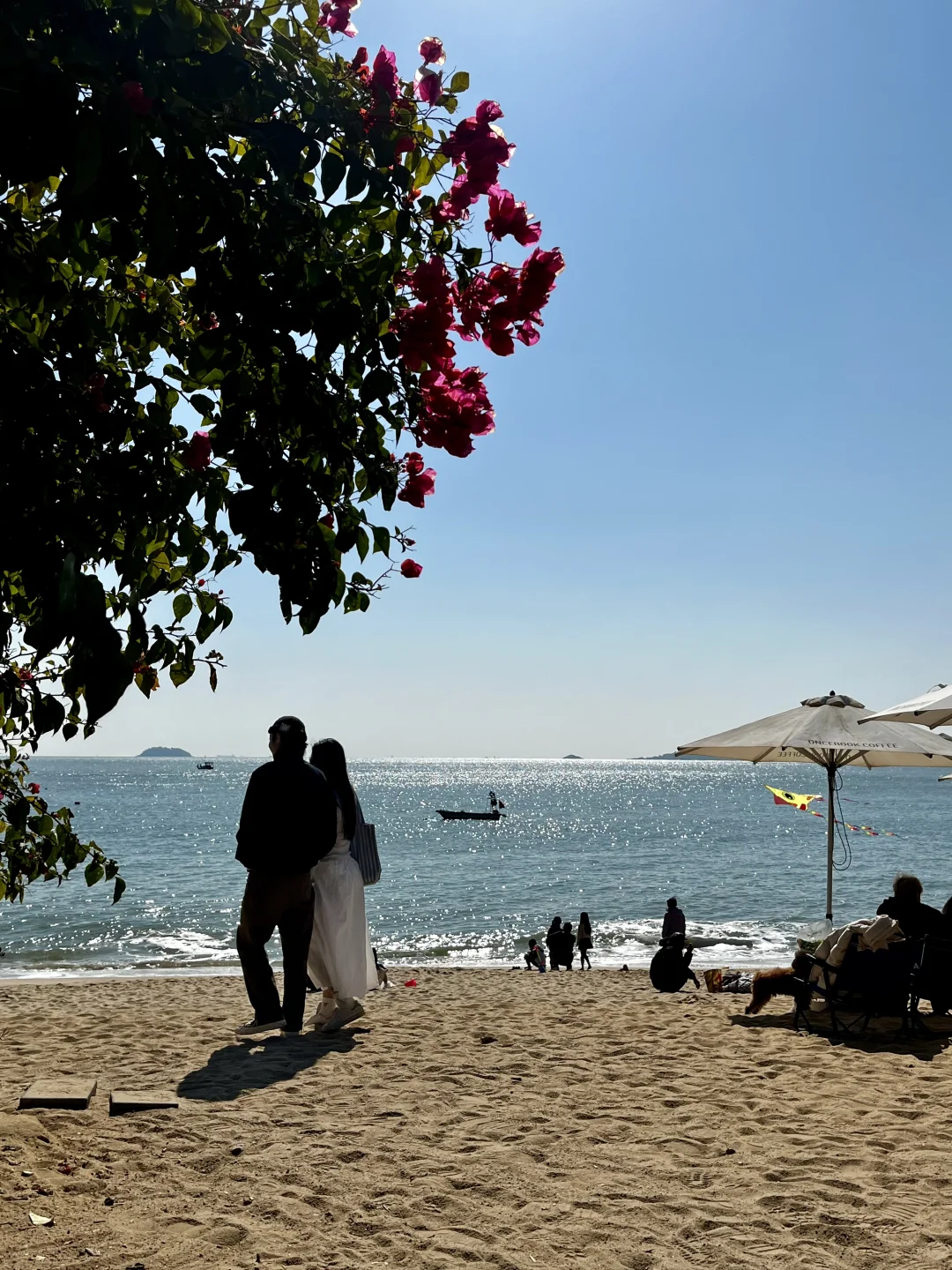 来厦门记得去！！海边citywalk美疯了（路线）