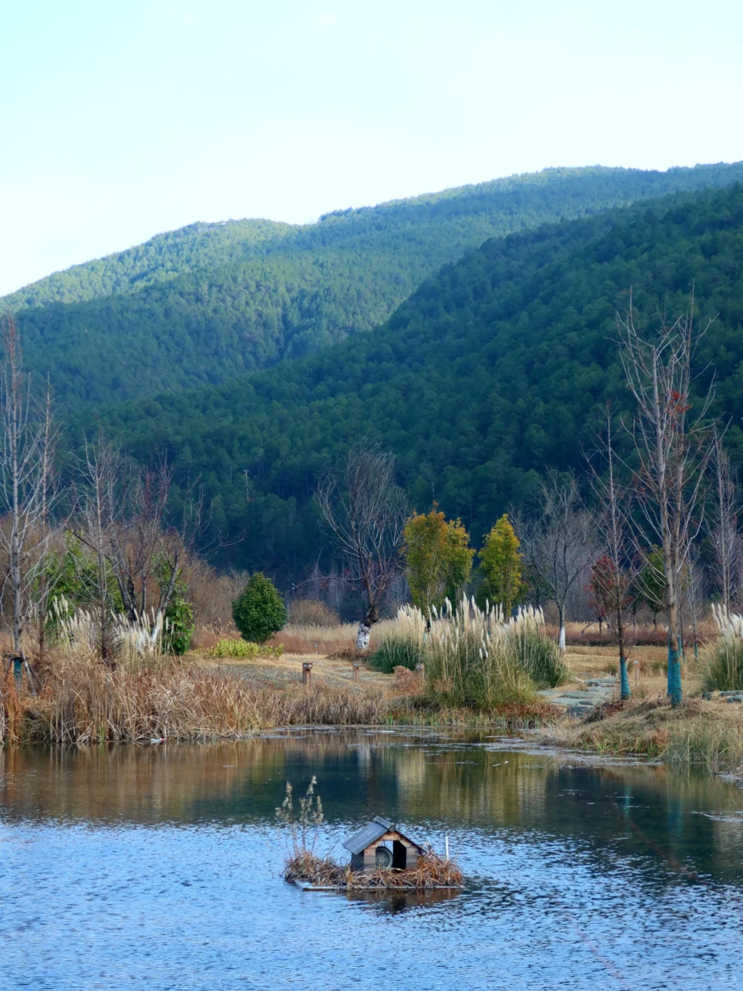 旅游是工作日的动力🥹