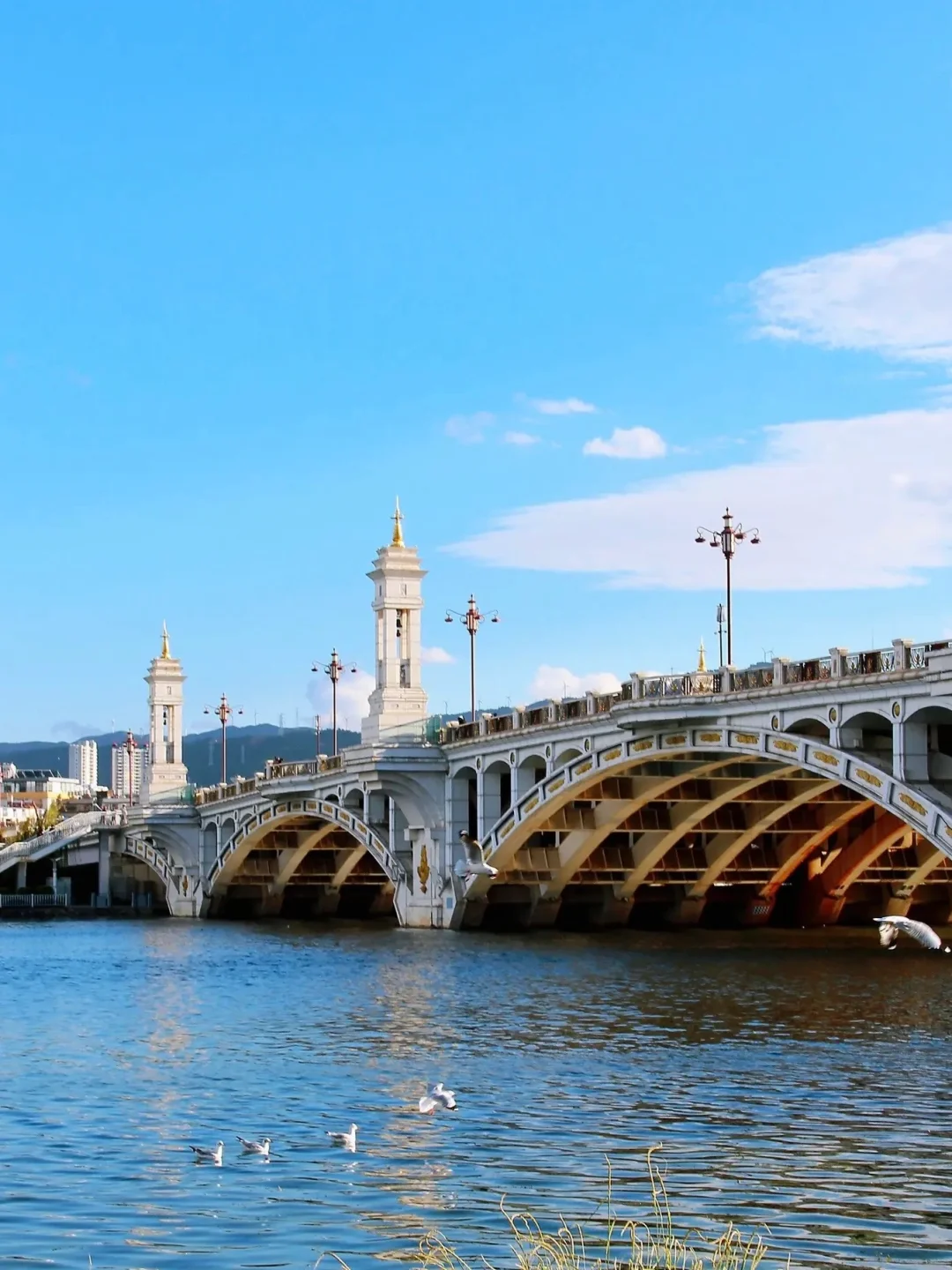 第一次带爸妈去大理，去看苍山洱海