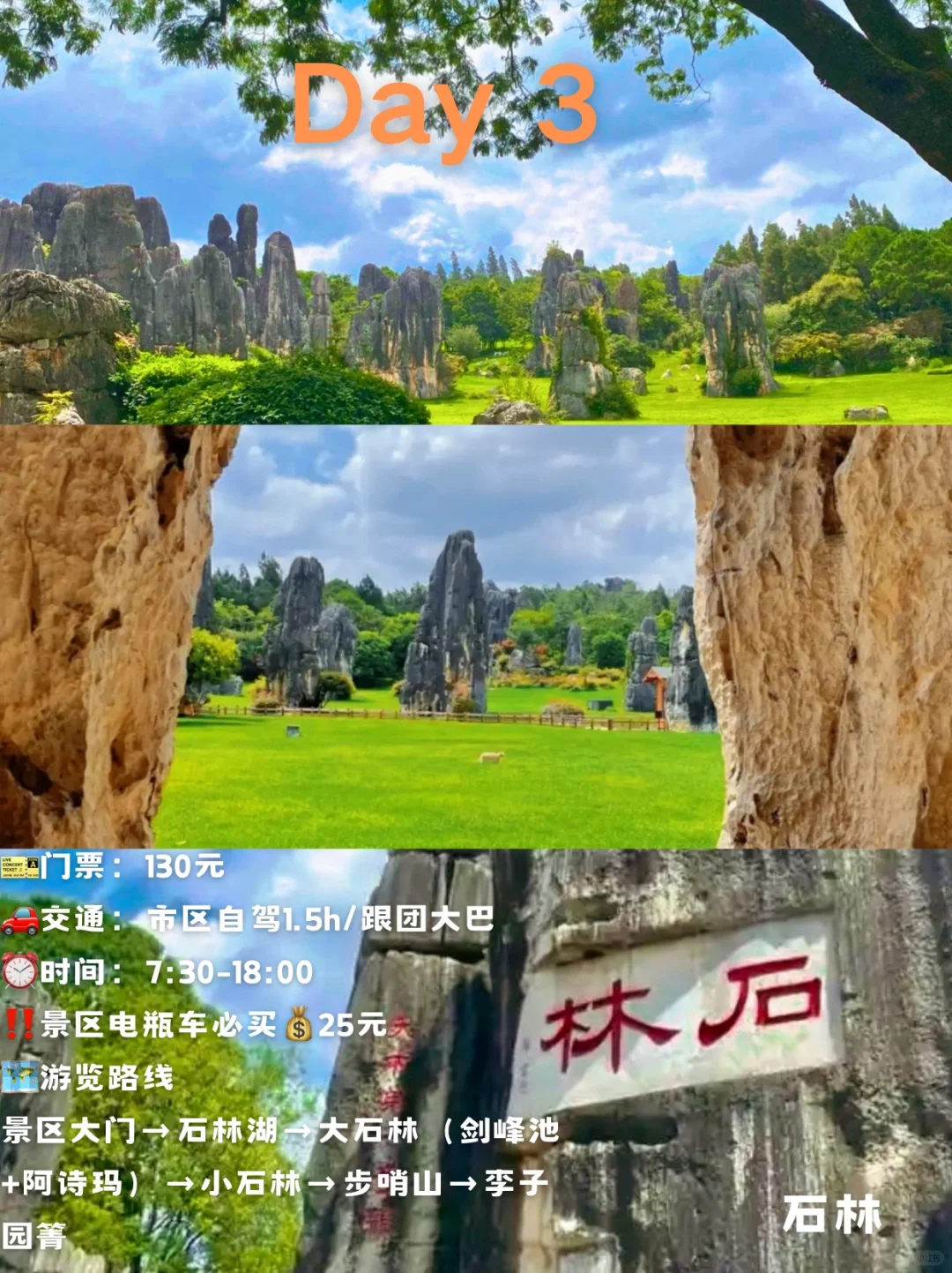 🌿昆明三天旅行攻略｜CityWalk看海鸥逛石林