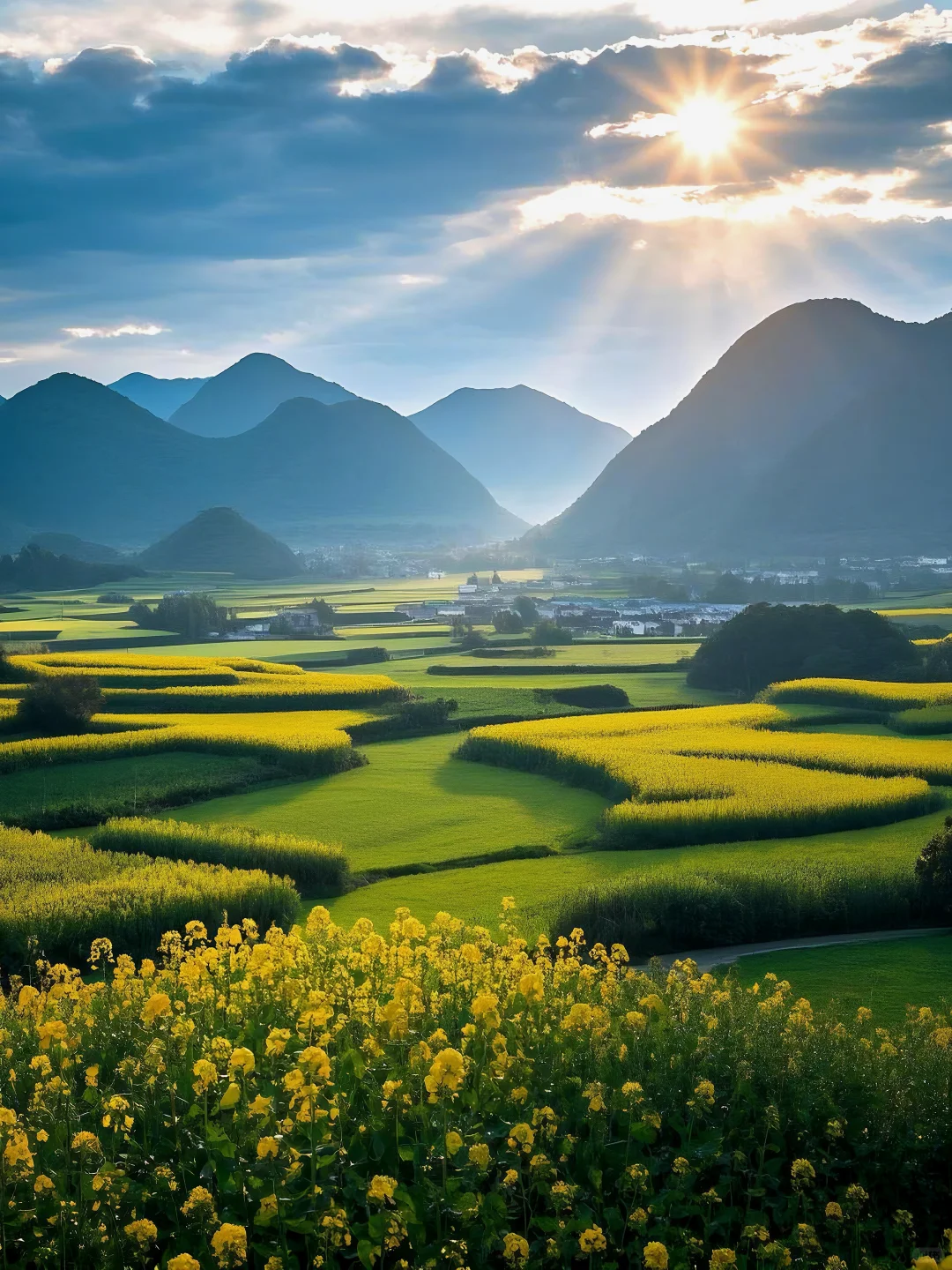 云南『封神』玩法!本地人私藏的无人花海